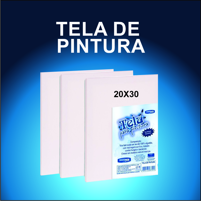 tela-pintura-20x30